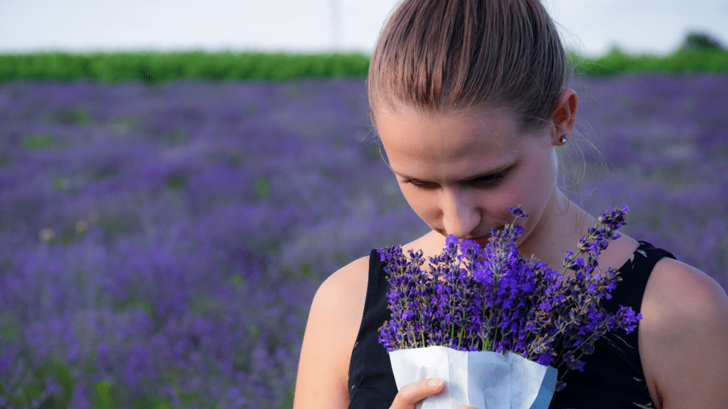 A girl holding a bouquet of lavender standing in front of a lavender field.